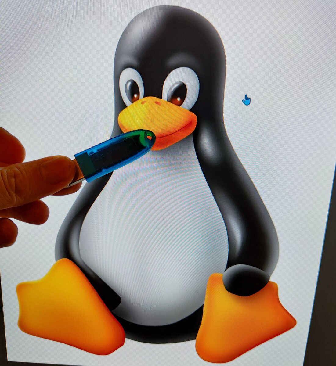 Пингвин жрёт рутокен