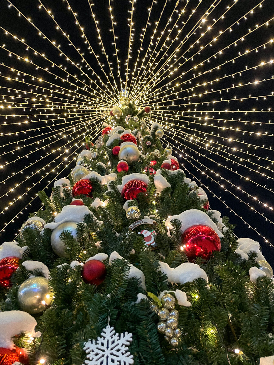 Фото из архива автора. Ёлка в Охта-парке 