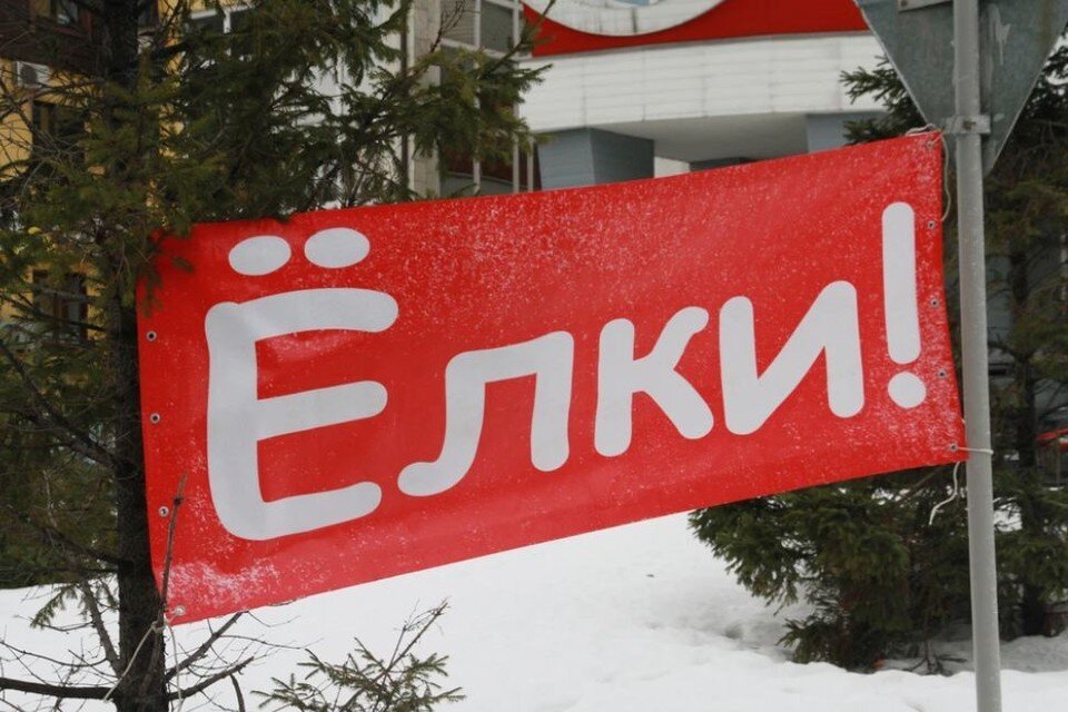     Акцию по сбору елок барнаульские экоактивисты проводят уже несколько лет Олег УКЛАДОВ