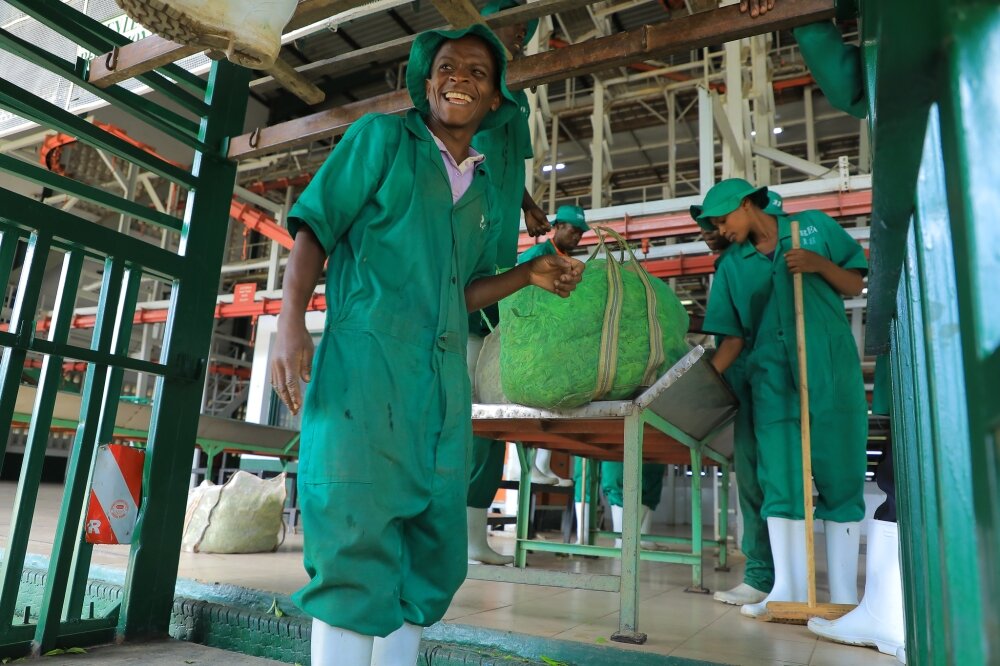 Люди, для которых Международный день чая действительно профессиональный праздник. www.newtimes.co.rw