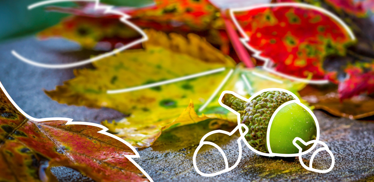 Источник:
Авторский материал пользователя платформы. Источник фото: Unsplash  (https://unsplash.com/)