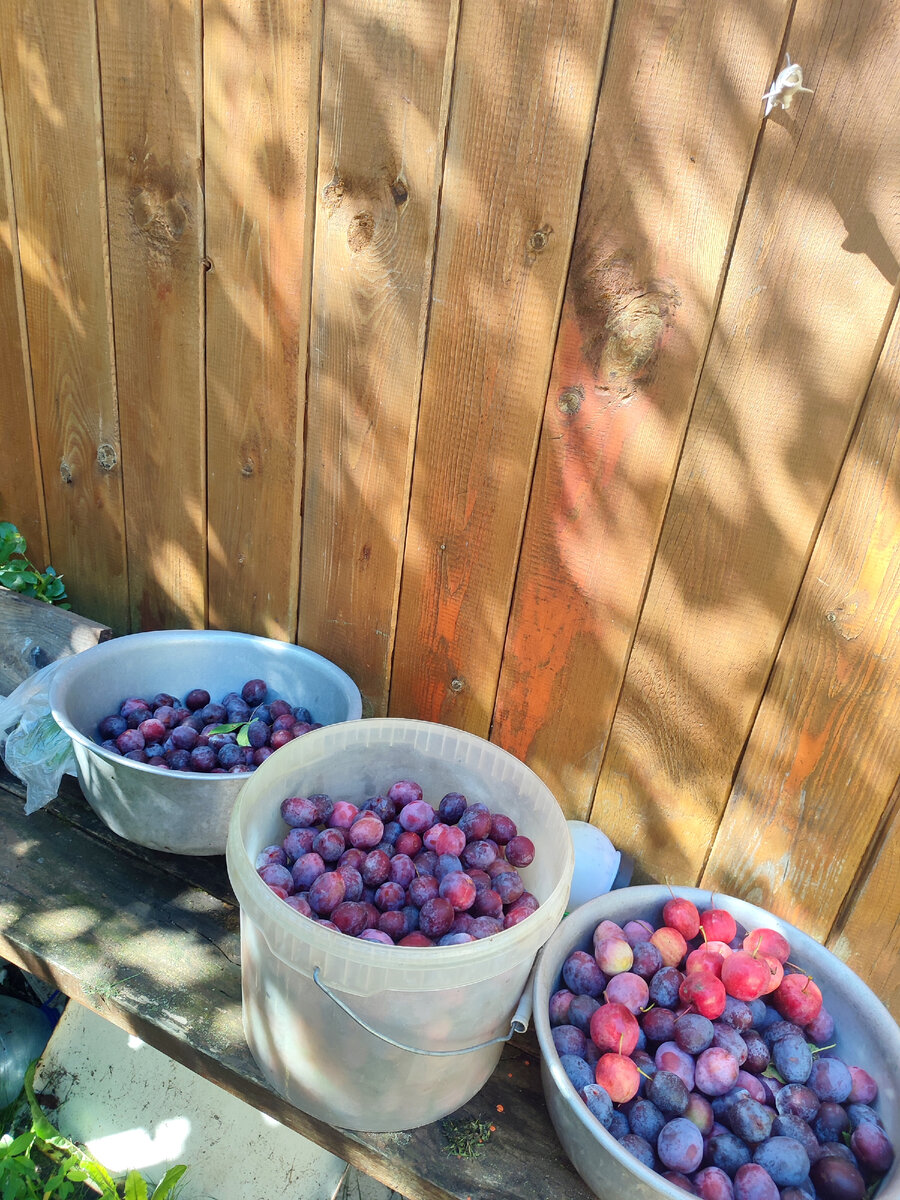 Что ж с ней делать то- варенье или компот?