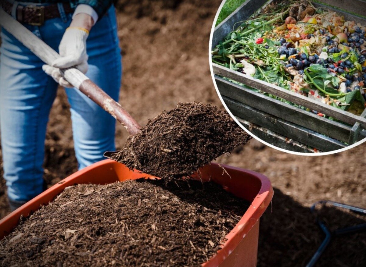 как компост может заменить навоз