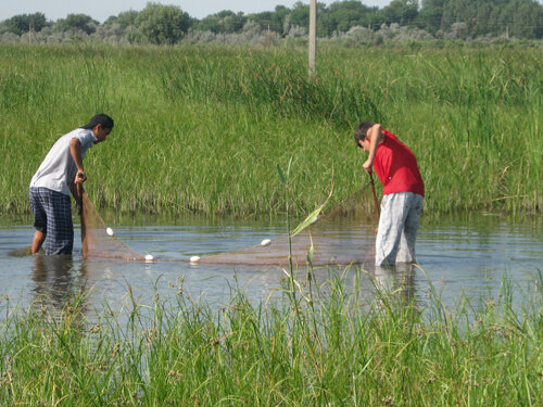 рыбалка с бреднем.