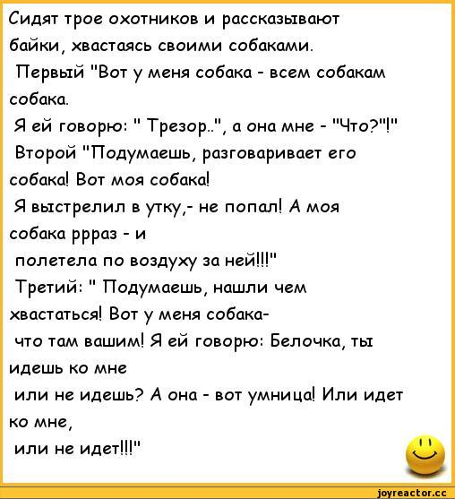 Глубокие анекдоты. Анекдоты про собак. Анекдоты про охотников. Ржачный анекдот про охотников. Анекдоты про охотников самые смешные