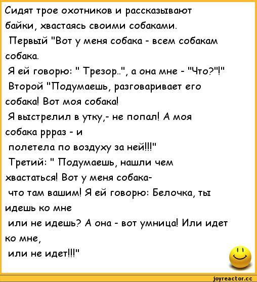 Анекдот про сук. Анекдоты про собак. Анекдоты про охотников. Ржачный анекдот про охотников. Анекдот про охотника.