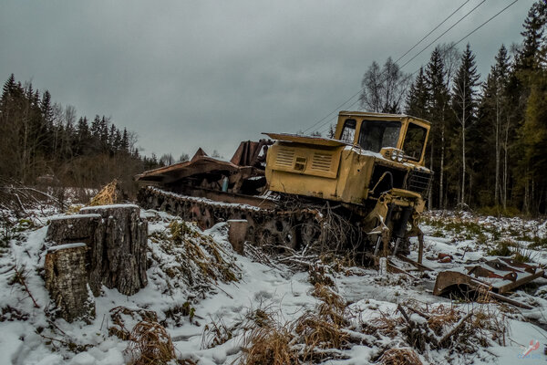 Поехали в деревню, а нашли оставленный в лесу валочно-трелёвочный трактор ТДТ-55?