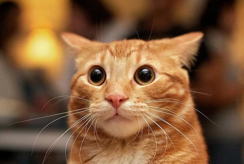 Фото: russtroy.spb.ru