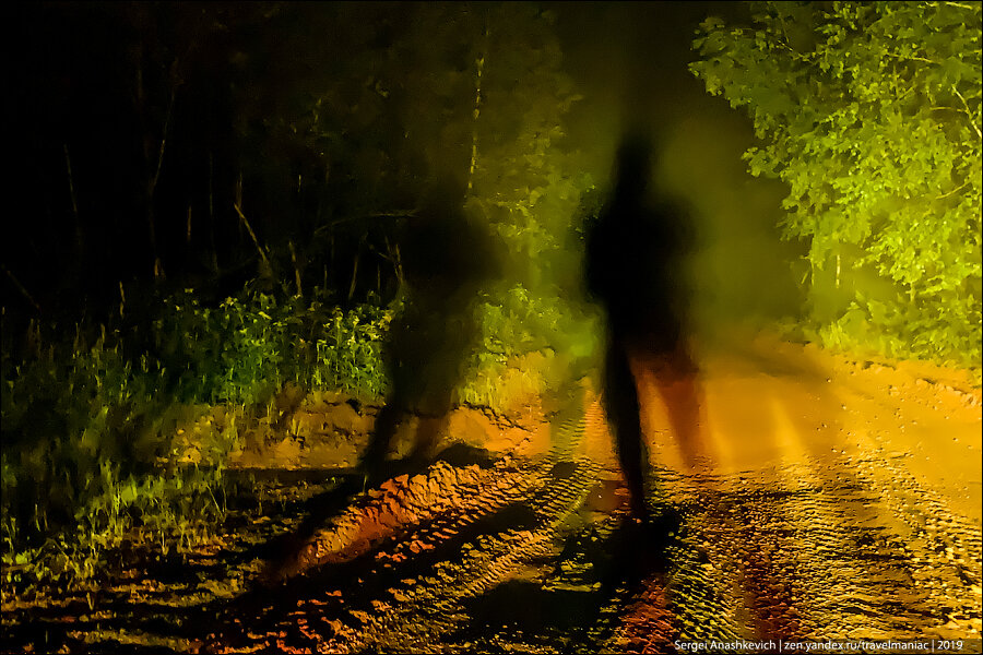 Лес река пруд. Посреди лесного озерца расцвела желтая. Посреди лесного озерца расцвела желтая. Фёдор лашков фотограф река. Информация о кувшинке.