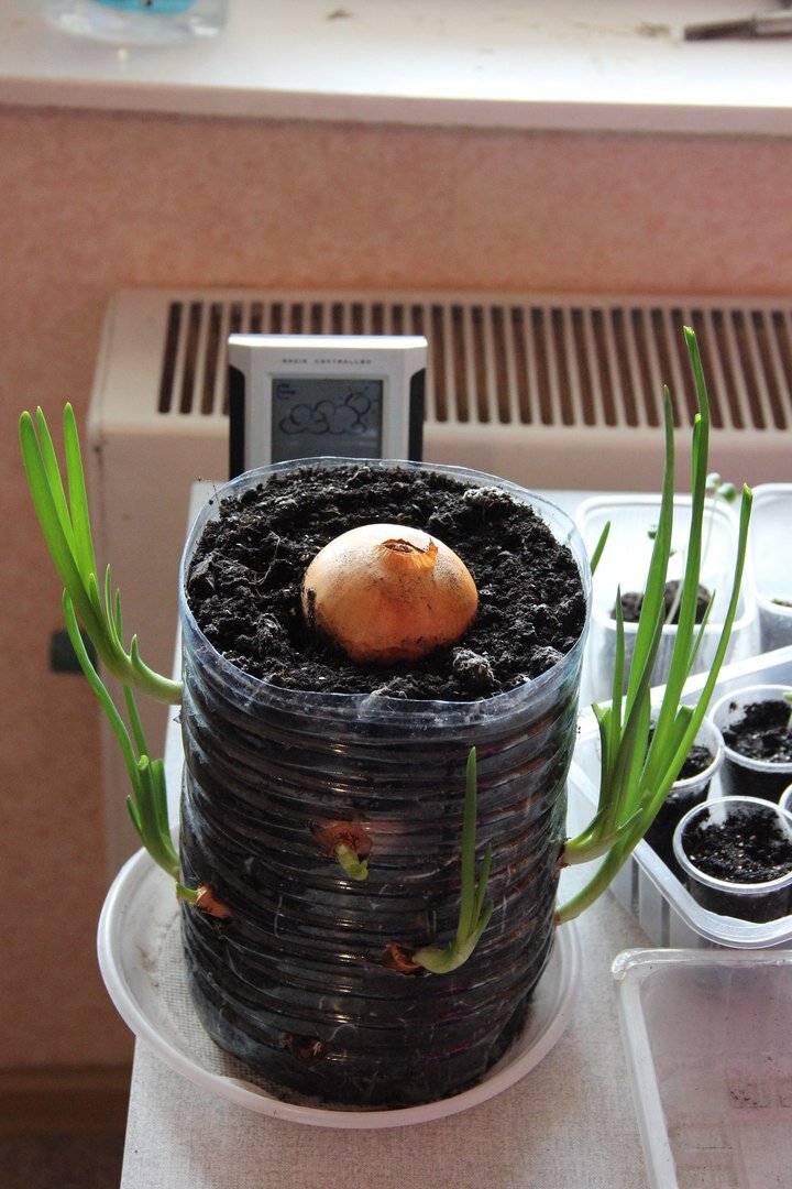 Все фото в материале авторские