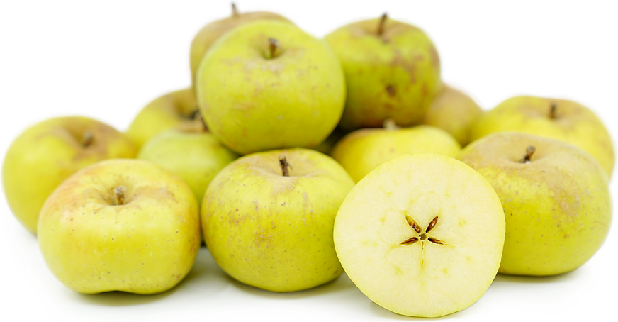 Ashmead’s Kernel