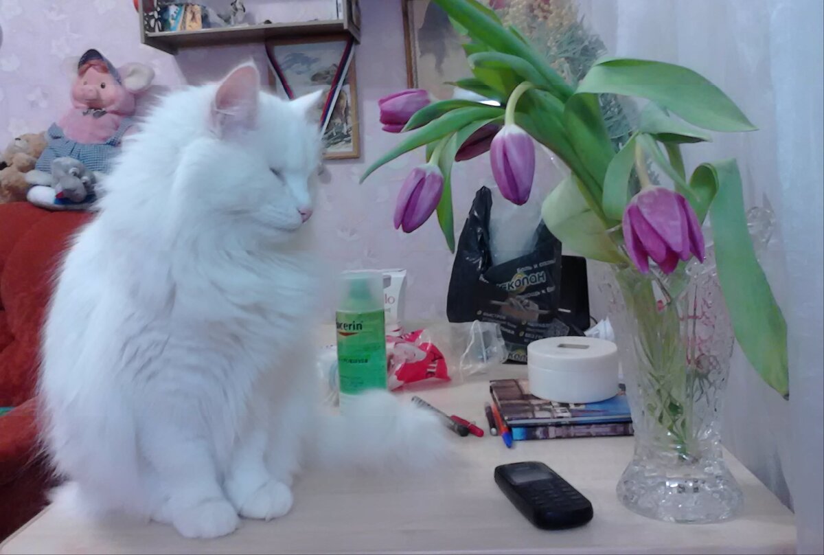 Это мы как раз у родителей. Ангелочек мой беленький. 