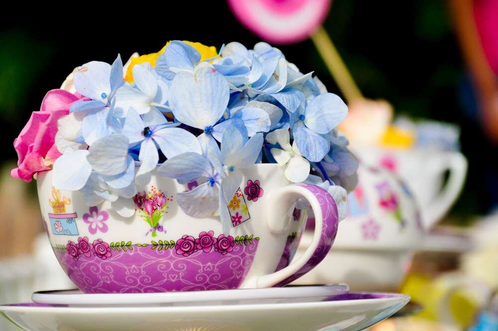 фото с catchmyparty.com
