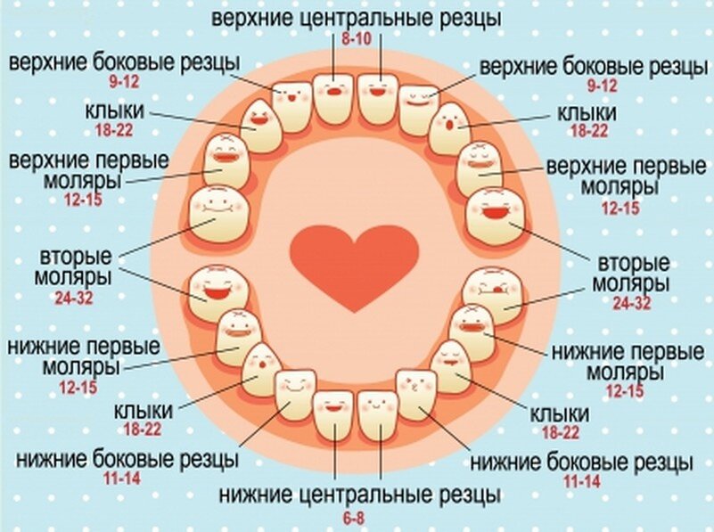 Молочные зубки