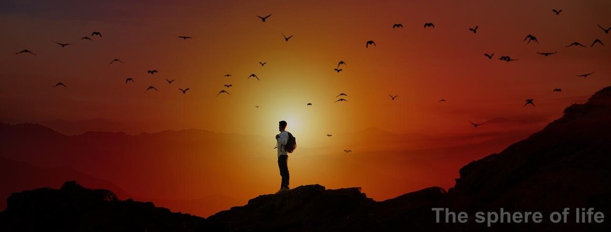 Image by Gerd Altmann from Pixabay