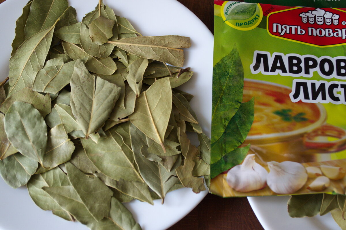 Лавровый лист специя. Лавровый лист экотопия, 15 г. Размножение листочками. Сидровый лист. Зеленый лист.