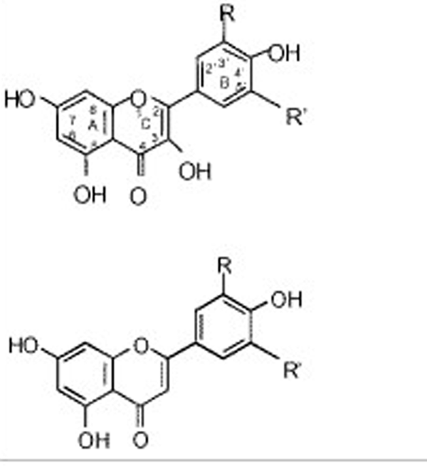 Полифенол    Источник: aromarti.ru