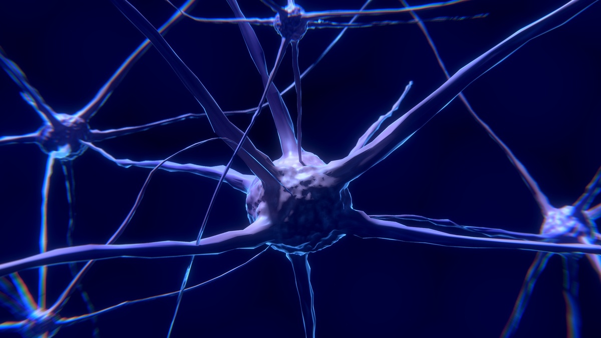 https://pixabay.com/get/54e2d4404a52a514f6d1867dda6d367c1436dce25a556c4870287add924cc15fb8/nerve-cell-2213009_1920.jpg