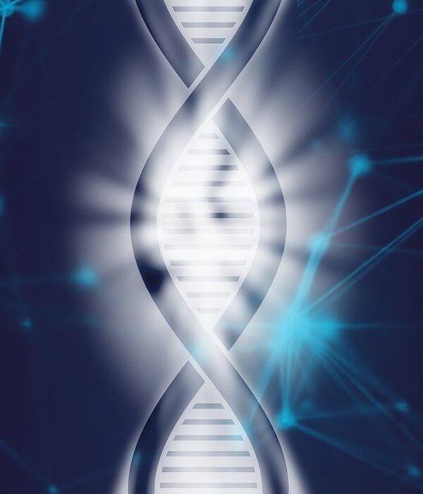  Источник: https://pixabay.com/illustrations/dna-life-biotechnology-evolution-4068826/   