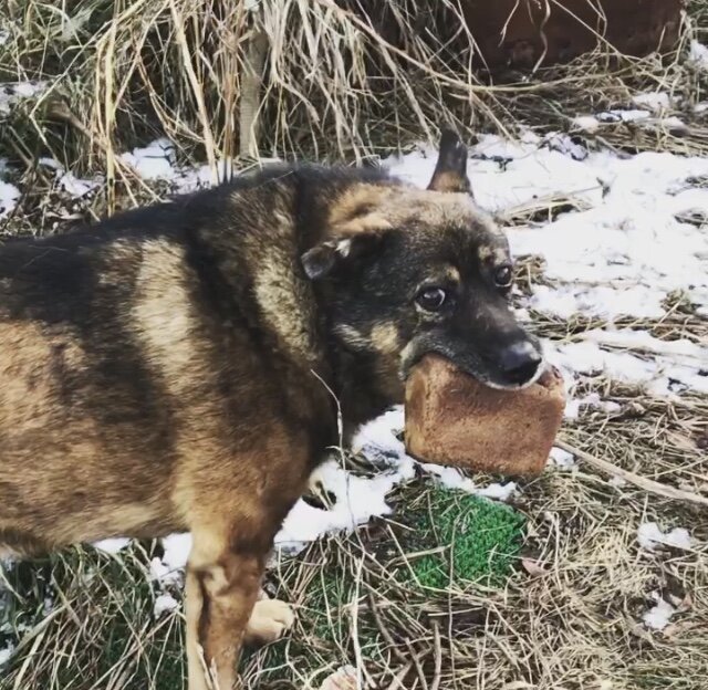 Тёма-добытчик 