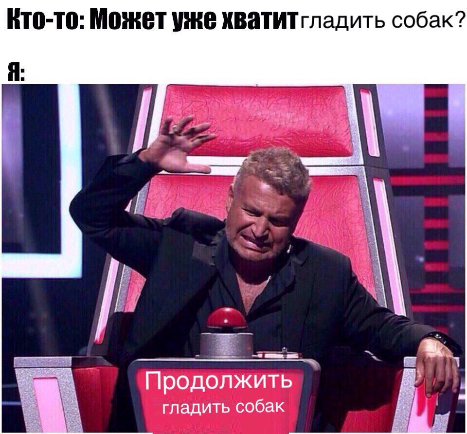 Как вообще можно перестать гладить собачек?