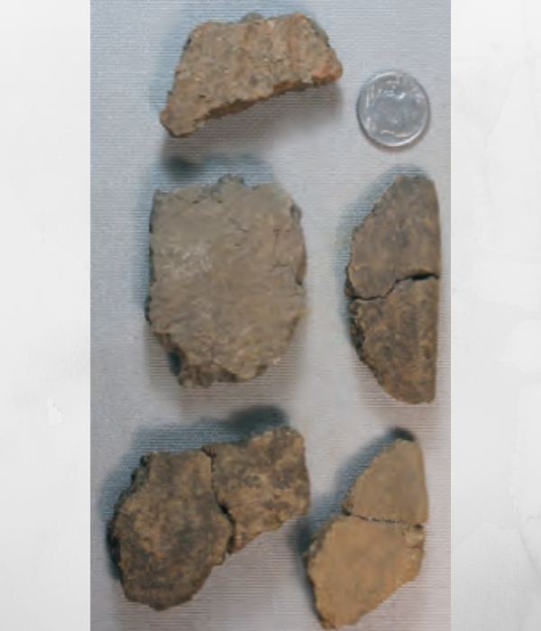 Глиняные черепки из каменного приюта на болоте Флэгг. Типичные размеры и цвета.