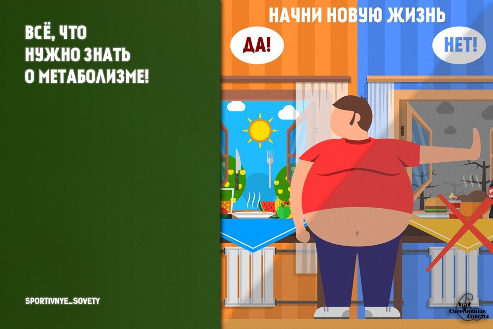 Источник - google.com