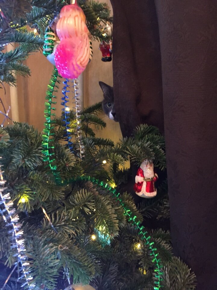 Всегда начеку