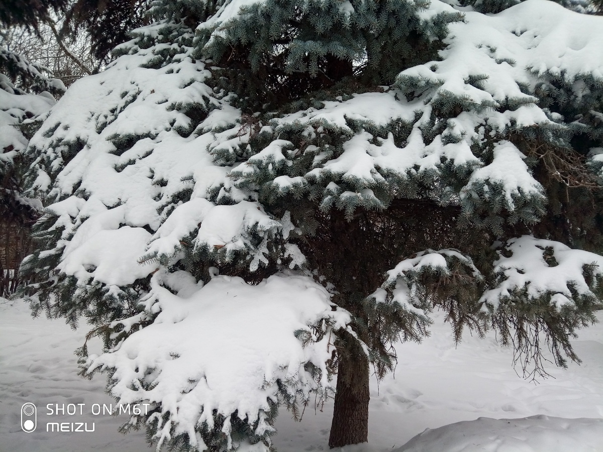Автор - фото собственное