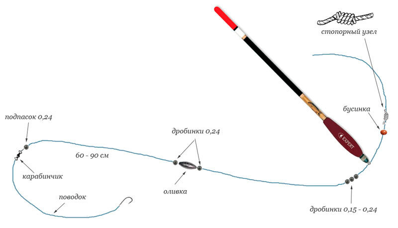 Ловля карася на фидер: основные принципы
