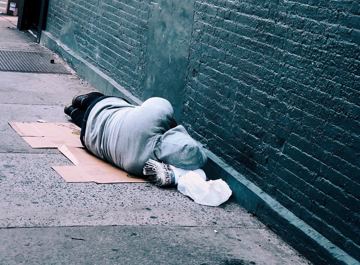 Фото из открытого источника на сайте https://unsplash.com