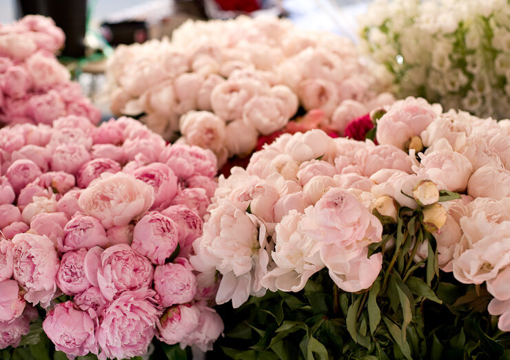 Фотография 1. Пионы на рынке 