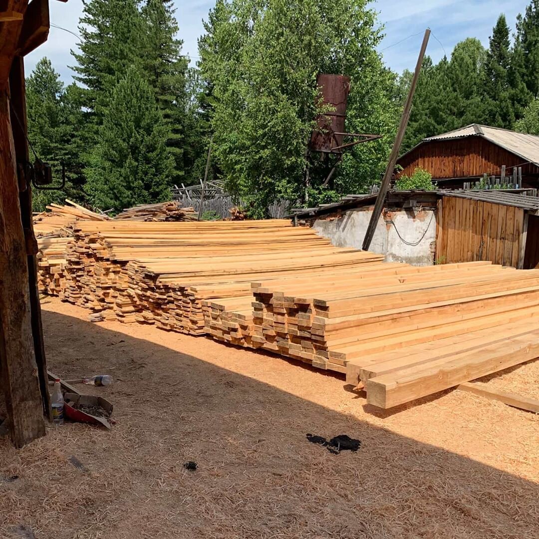 Заготовка кедра