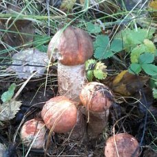 Личное фото Кати.