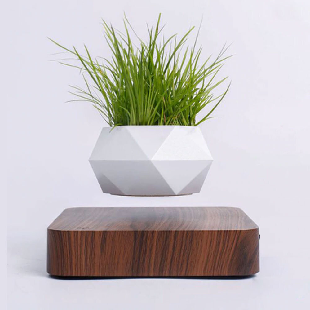 парящий горшок с цветами