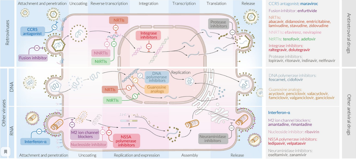 Заимствовано с учебного сайта