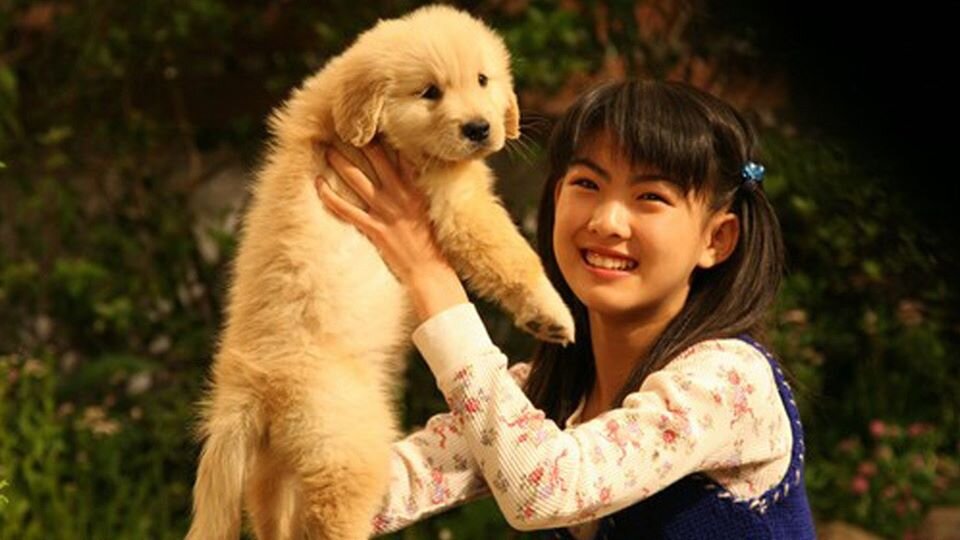 Кадр из фильма "10 обещаний собаке" (фото из интернета)