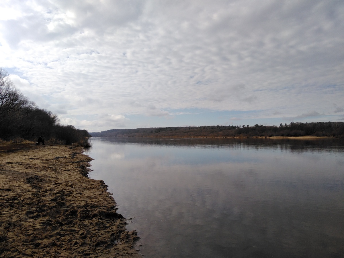 Поленово, Тульская область, 08.03.20, 14:01
