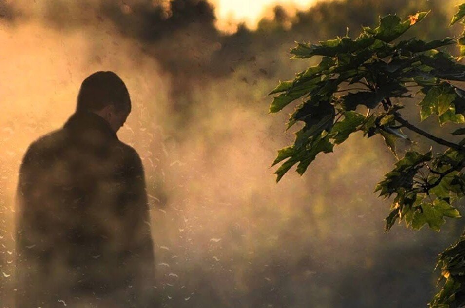 фото: https://i.ytimg.com