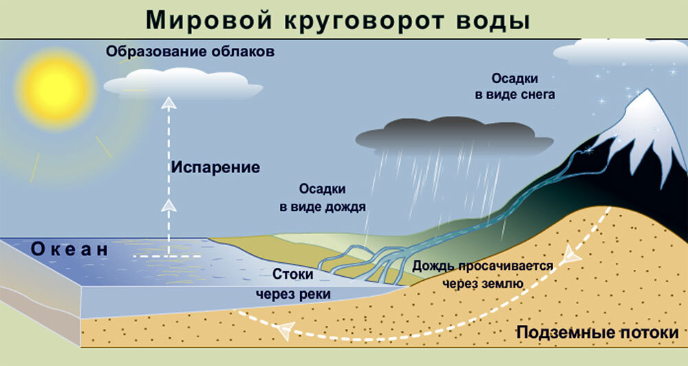 Вода сколько процентов нашей планеты она занимает