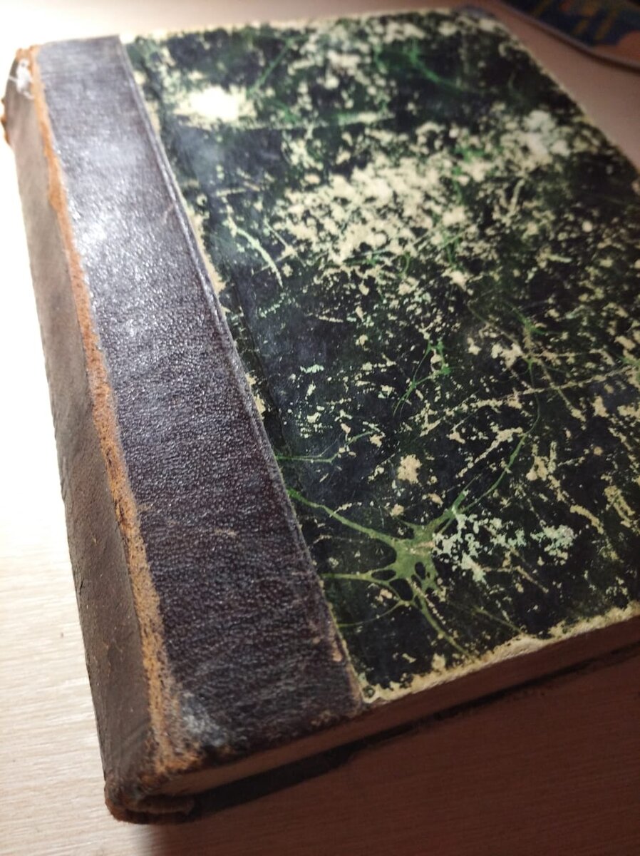 В таком виде я ее заметил