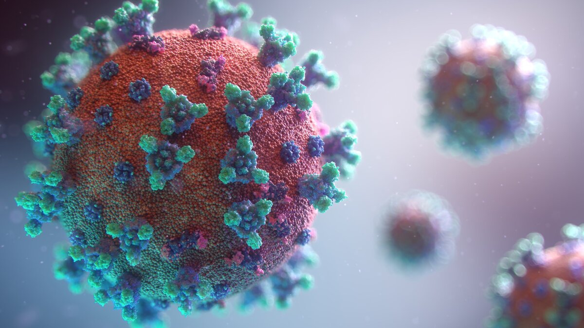 https://unsplash.com/Fusion Medical Animation