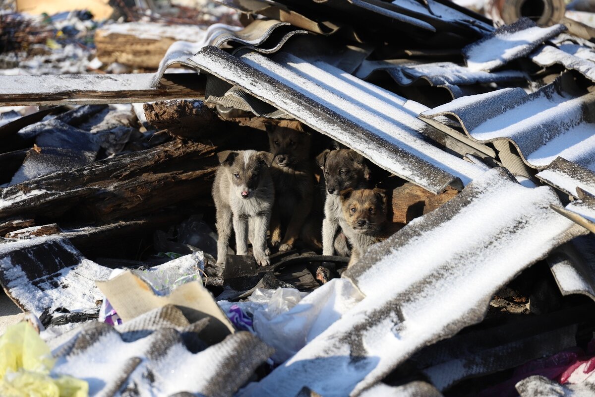фото со страницы ВК Голышманово: телевидение и радио