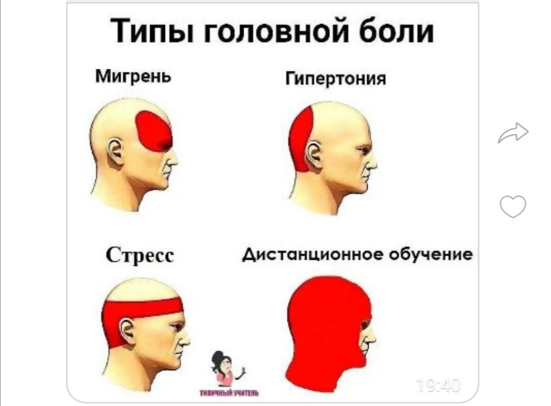 Дистанционное обучение придумали для родителей. | Катин дом. | Дзен