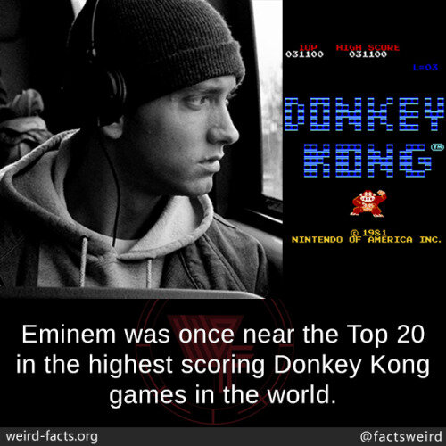 Это Eminem. Фанат и рекордсмен
