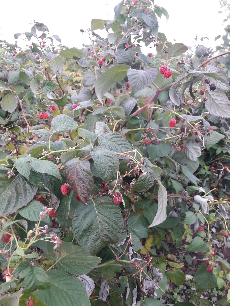 Фото из личного архива.