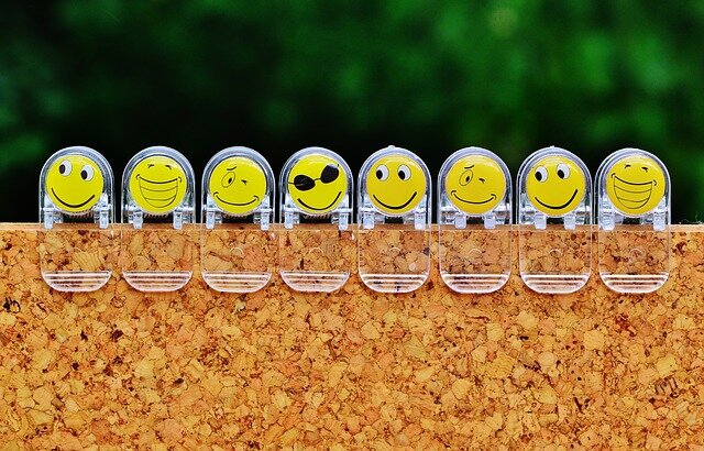 Изображение Alexandra ❤️A life without animals is not worth living❤️ с сайта Pixabay 