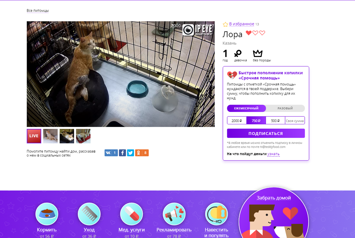 фото сайта  сделано автором