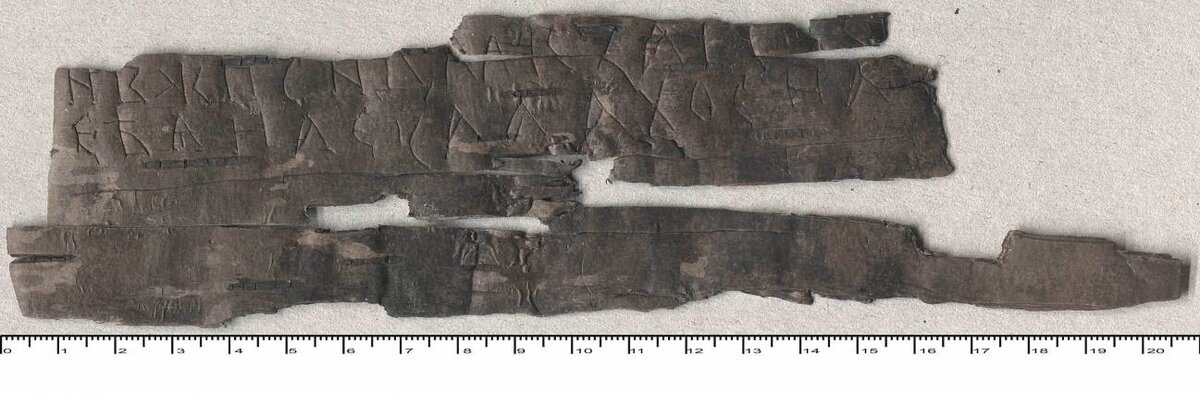 Берестяная грамота №46