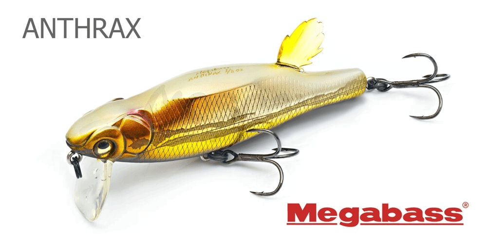 Megabass  Anthrax